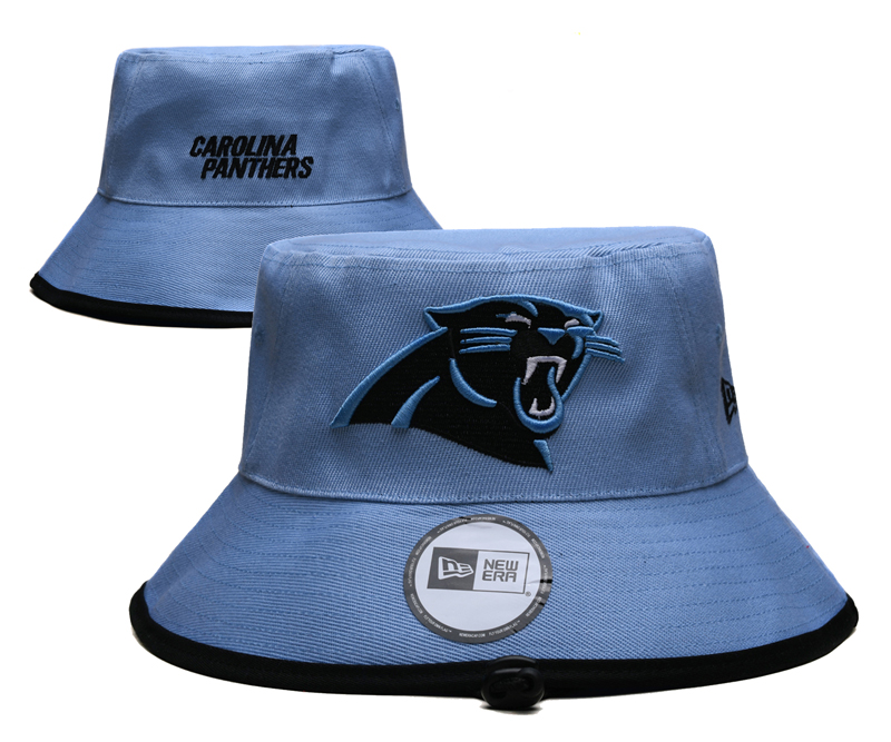 Carolina Panthers 2025 NFL hat